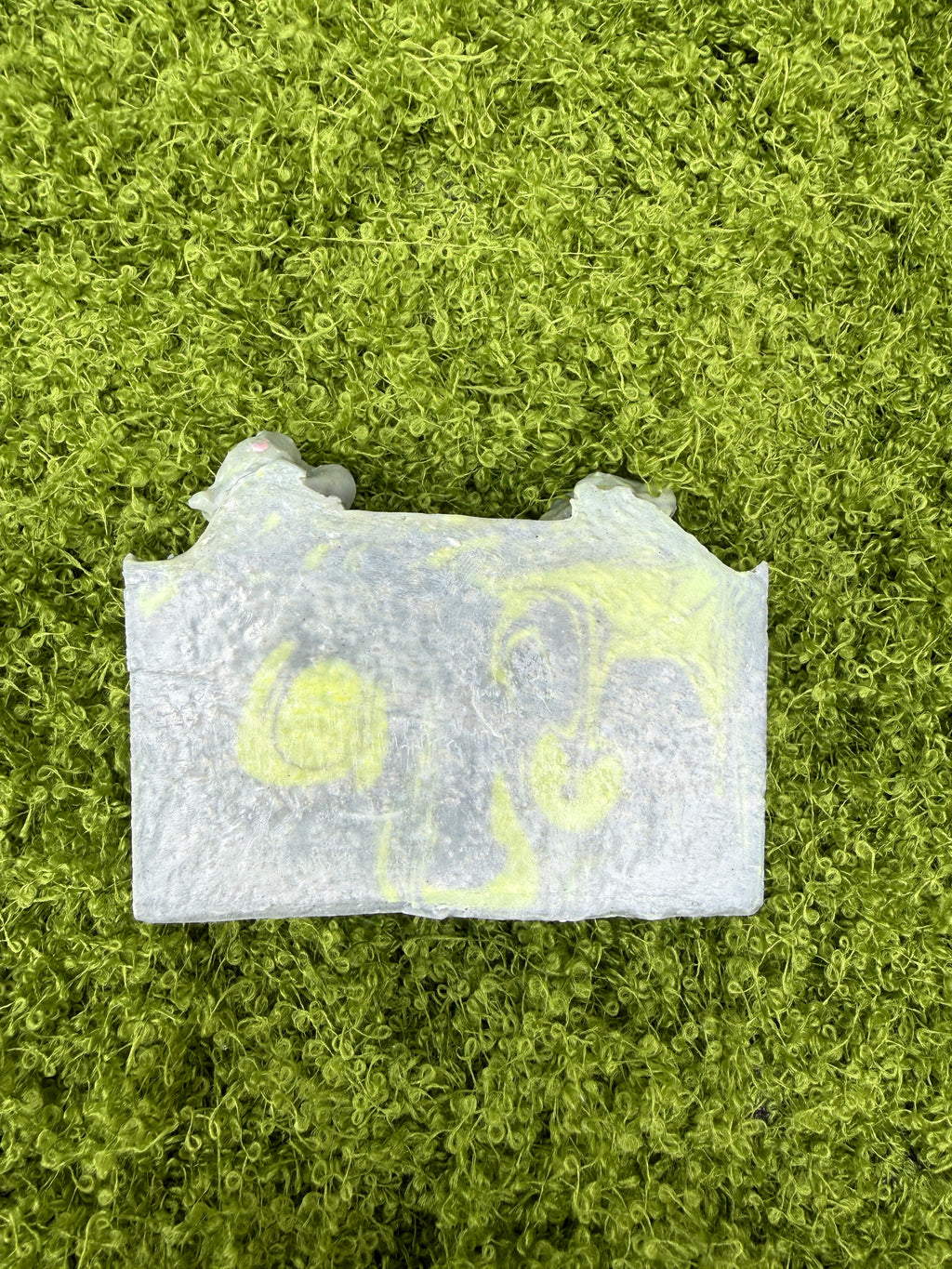 Moonlit Moss & Spice