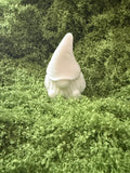 Naked Gnome