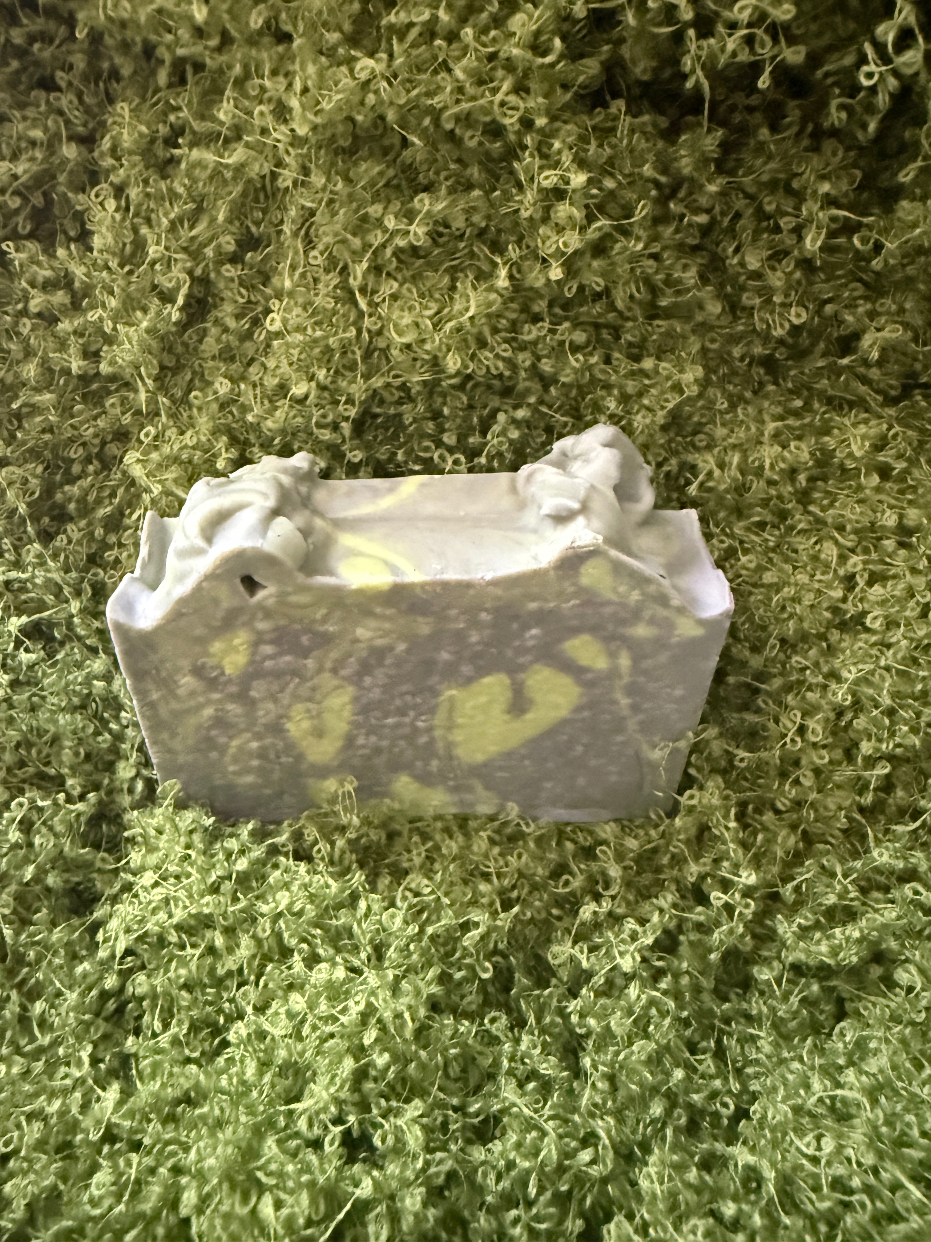 Moonlit Moss & Spice