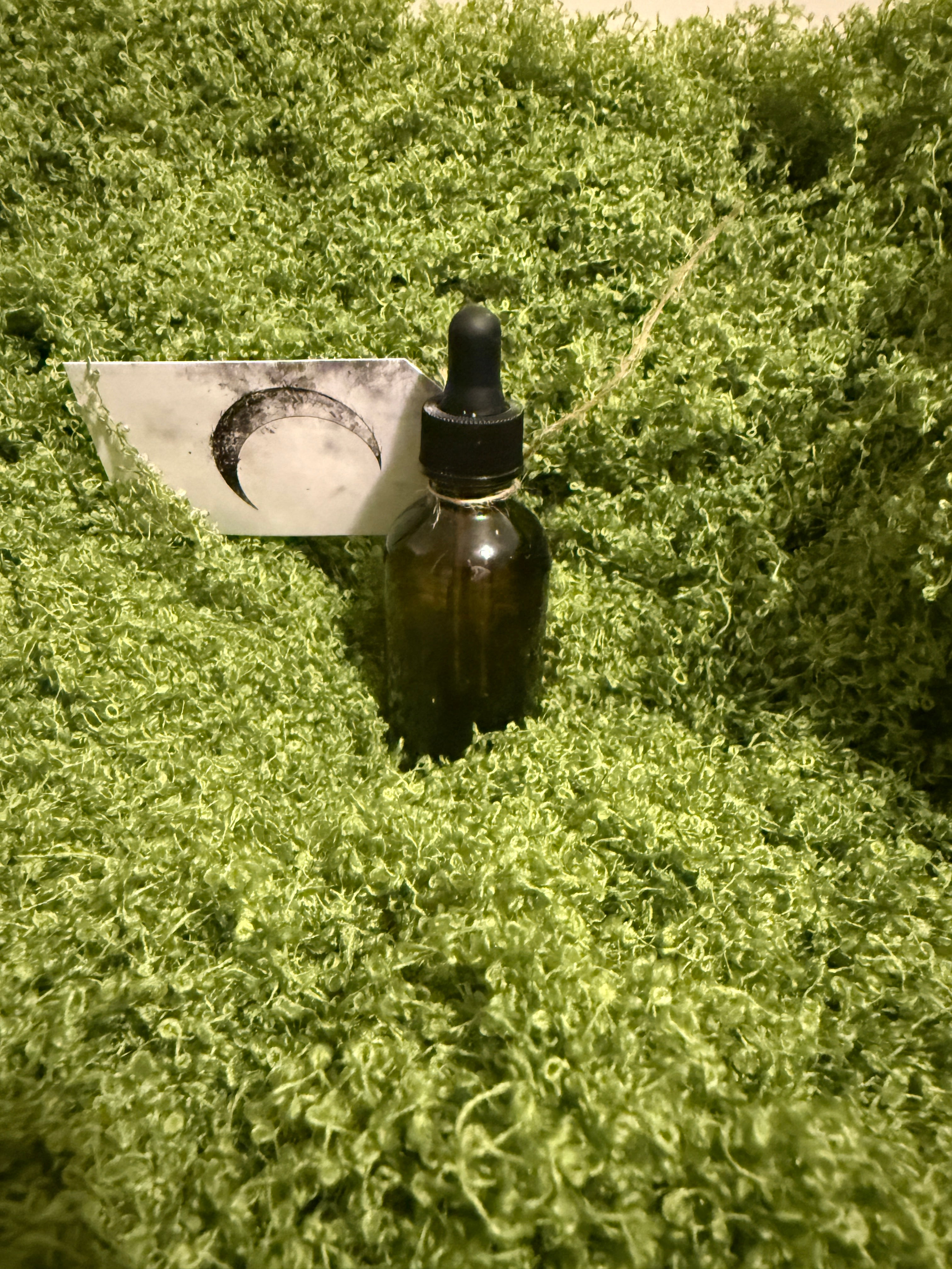 Whiskey Hollow Beard Oil 2oz